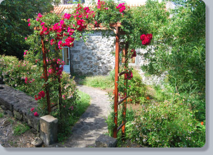 Guest House entrance from lane